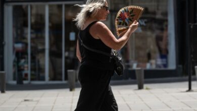 El calor extremo podría continuar hasta el 14 de julio, los hospitales aguantan por el momento… El calor extremo podría continuar hasta el 14 de julio, los hospitales aguantan por el momento…